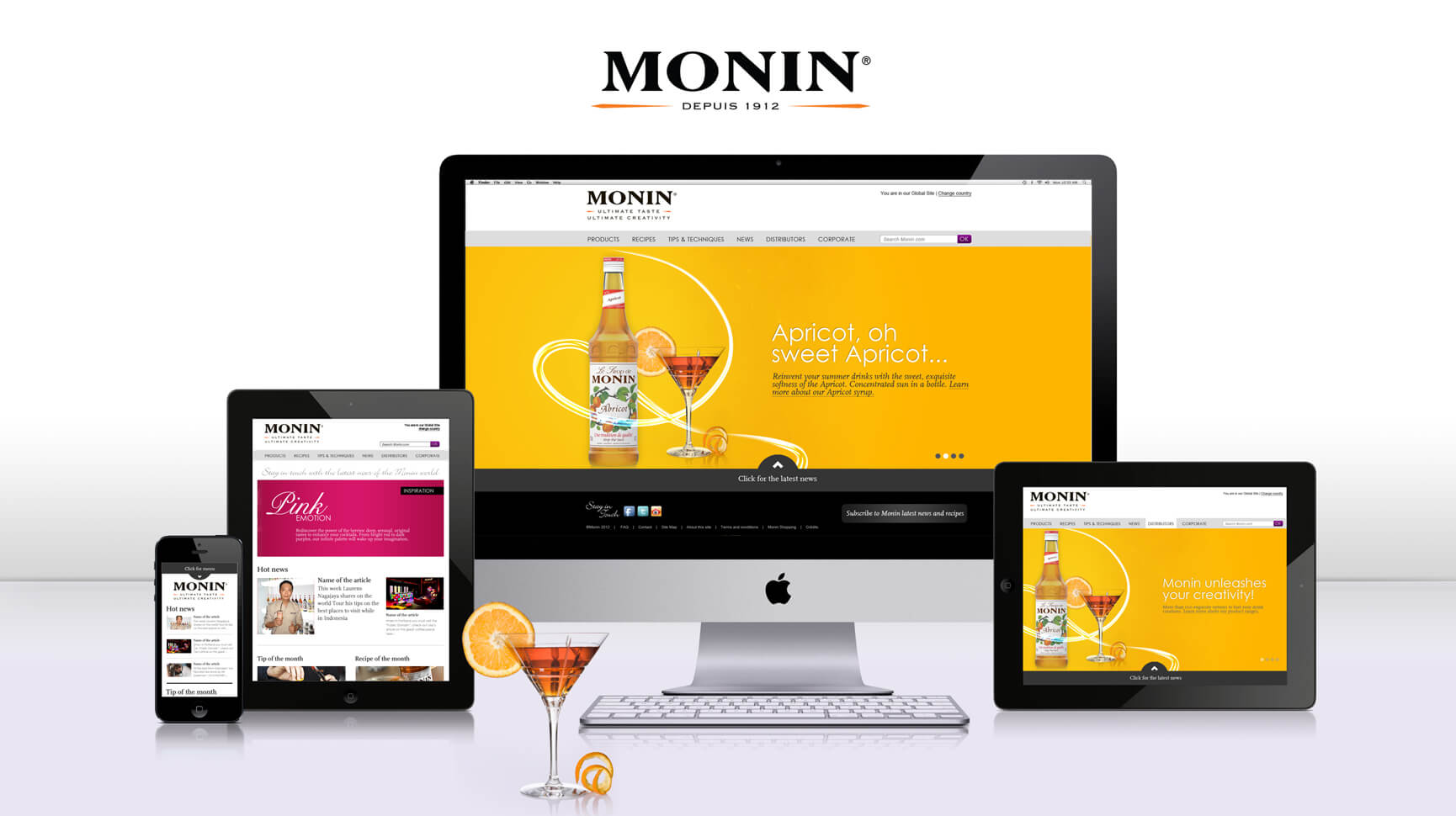 International Platform in 5 languages for 30 countries