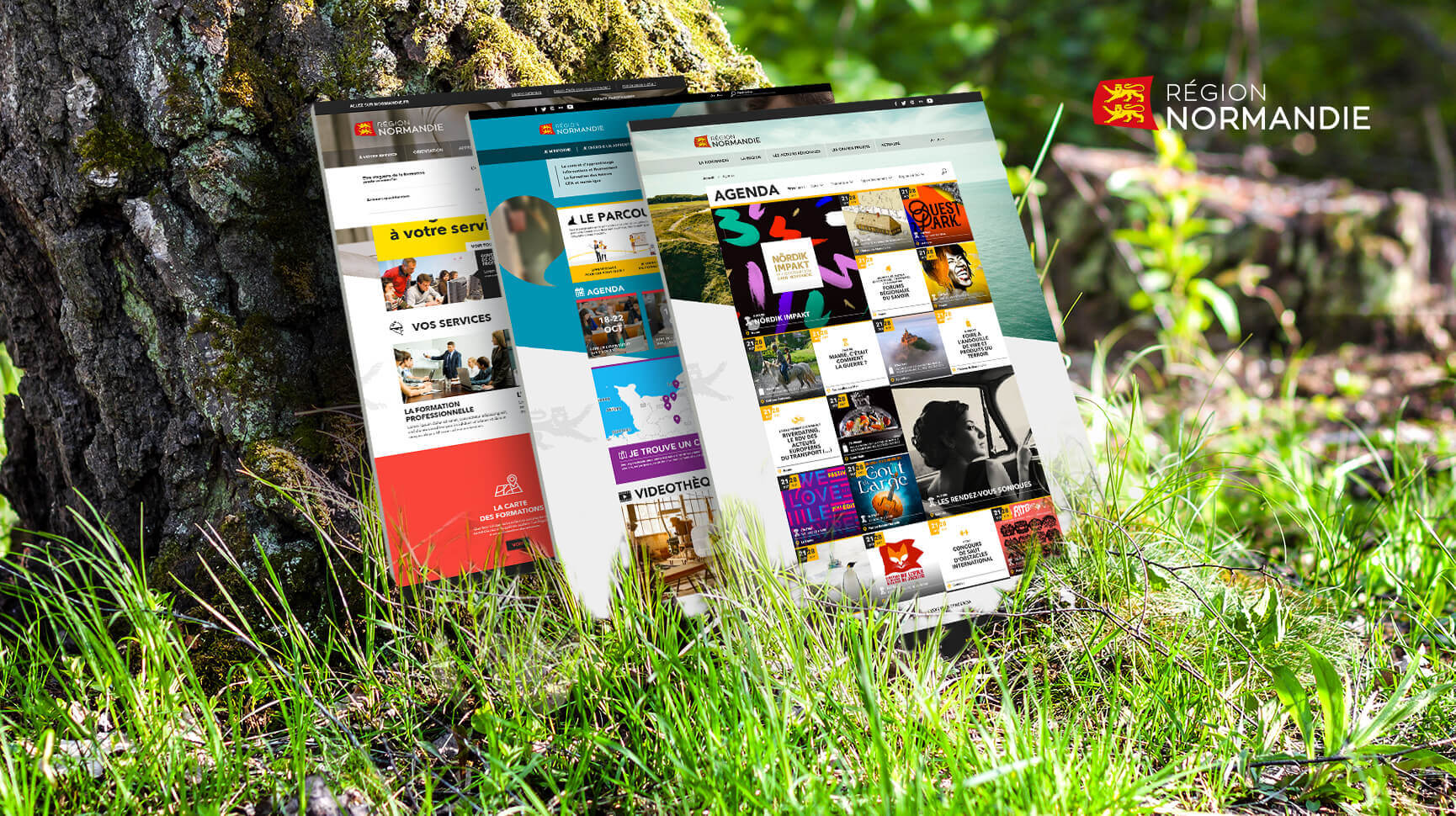 Accompaniment in the ergonomic and graphic redesign of the region's website and its portals