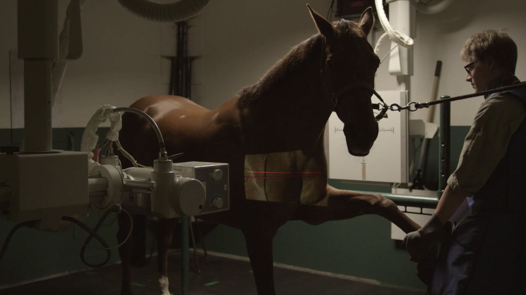 Linking together scientific profession, performance and passion for the Hippolia Foundation