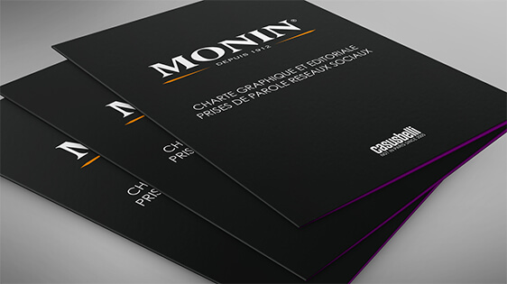 Reflection on the positioning and the values of Monin's digital ecosystem